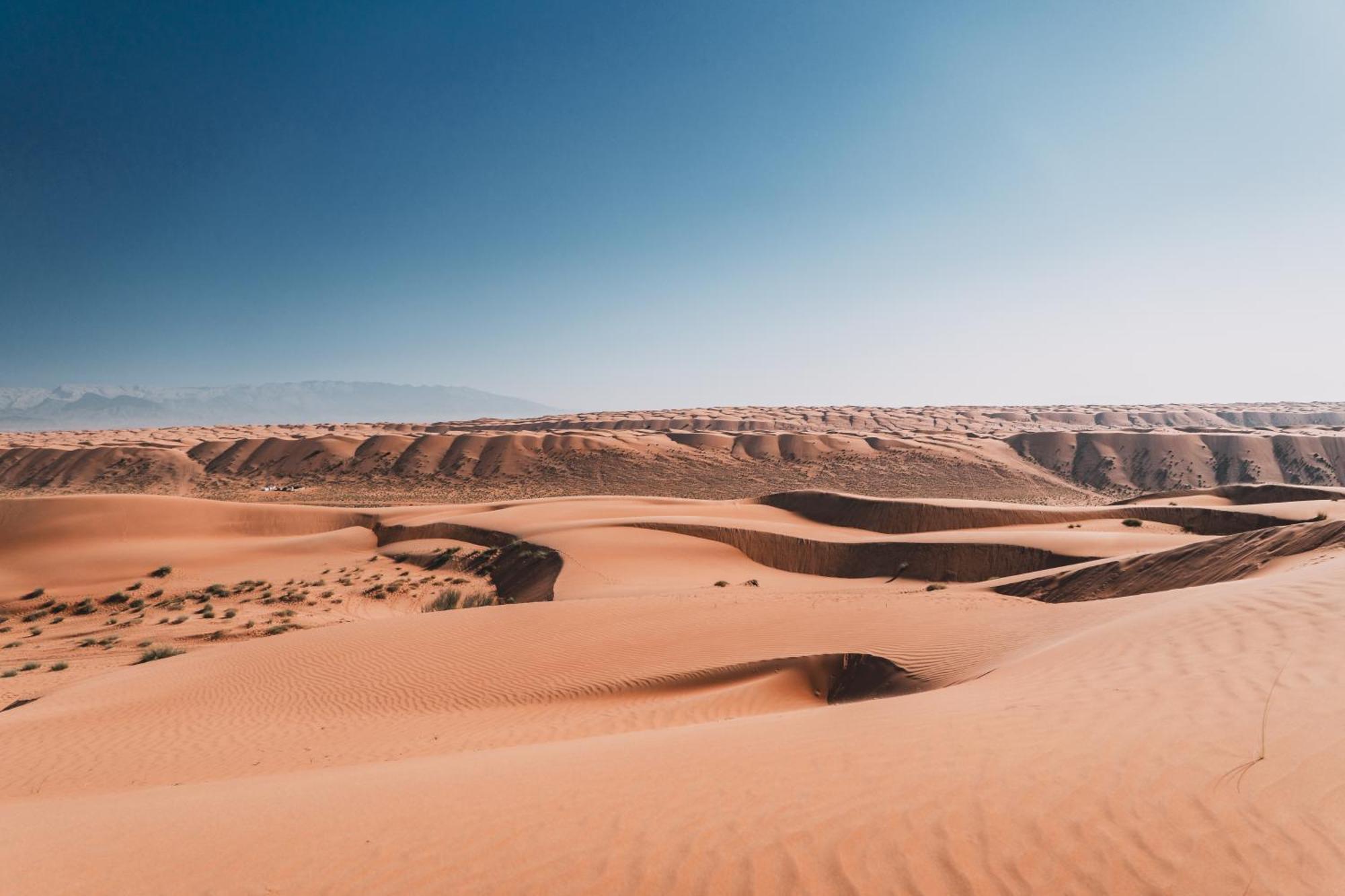 Hamood Desert Private Camp Al Wāşil Buitenkant foto